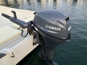 ヤマハ W-19FH、F9.9 セル付